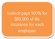 Rounded Rectangle: Icetech pays 100% for $50,000 of life insurance for each employee.